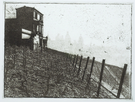Boris Frhlich