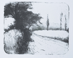 Boris Frhlich